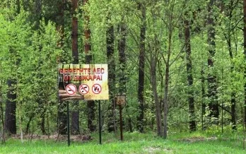 Сохраняется высокая пожароопасность лесов и торфяников